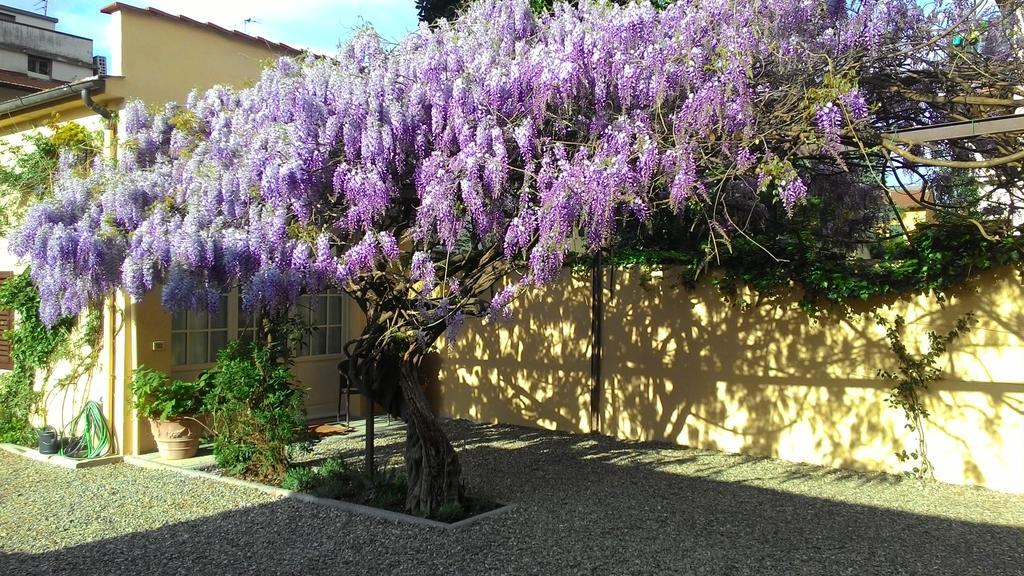 Villino Fiorentino Florence Buitenkant foto